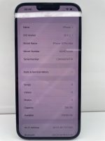 13PROMAX 256G 100% T ZAA - Image 2
